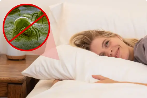 FlexaSleep™ Pillows